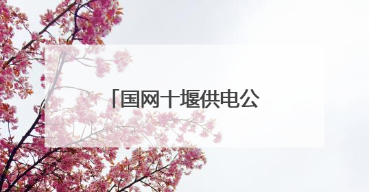 国网十堰供电公司：智能机器人护航高考保电