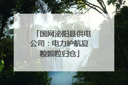 国网泌阳县供电公司：电力护航夏粮颗粒归仓