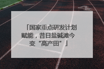 国家重点研发计划赋能，昔日盐碱滩今变“高产田”