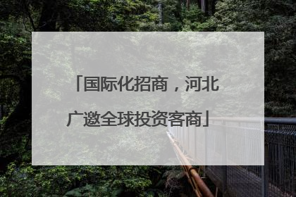 国际化招商，河北广邀全球投资客商