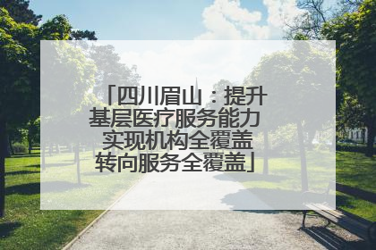 四川眉山：提升基层医疗服务能力 实现机构全覆盖转向服务全覆盖