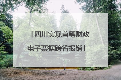 四川实现首笔财政电子票据跨省报销