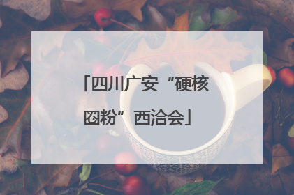 四川广安“硬核圈粉”西洽会