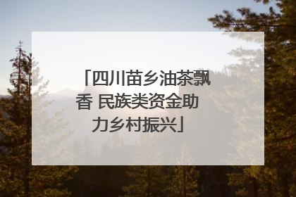 四川苗乡油茶飘香 民族类资金助力乡村振兴