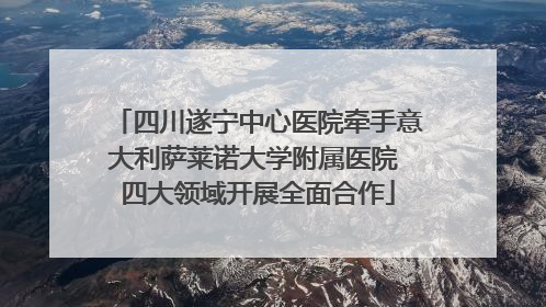 四川遂宁中心医院牵手意大利萨莱诺大学附属医院 四大领域开展全面合作