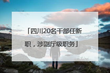 四川20名干部任新职，涉副厅级职务