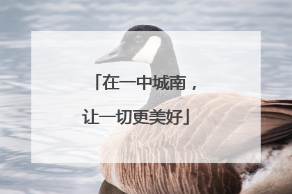 在一中城南，让一切更美好