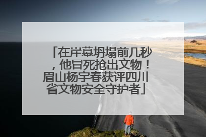 在崖墓坍塌前几秒，他冒死抢出文物！眉山杨宇春获评四川省文物安全守护者