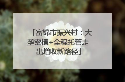 富锦市振兴村：大垄密植+全程托管走出增收新路径