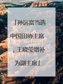 孙远富当选中国田协主席，王晓莹增补为副主席