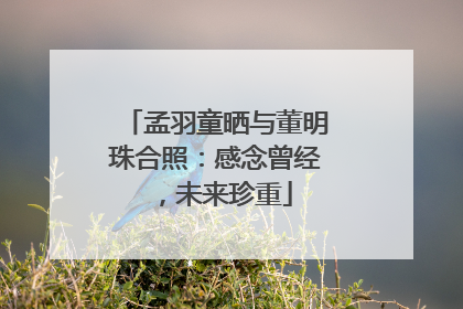 孟羽童晒与董明珠合照：感念曾经，未来珍重