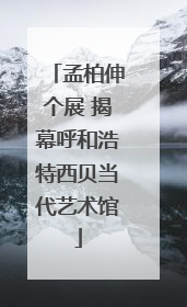 孟柏伸个展 揭幕呼和浩特西贝当代艺术馆