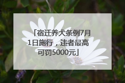 宿迁养犬条例7月1日施行，违者最高可罚5000元