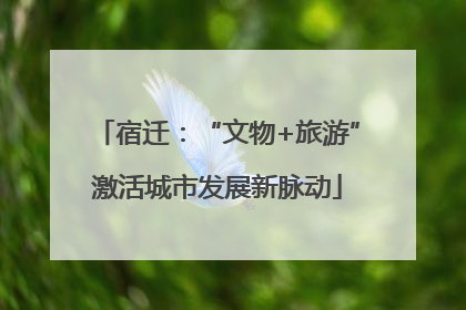 宿迁:“文物+旅游”激活城市发展新脉动