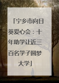 宁乡市向日葵爱心会：十年助学让近三百名学子圆梦大学
