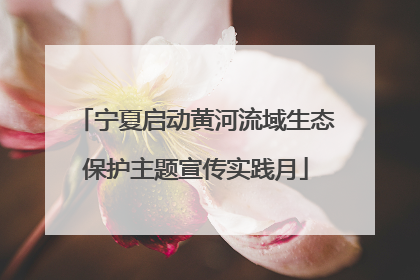 宁夏启动黄河流域生态保护主题宣传实践月