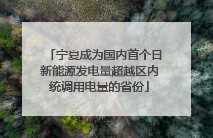 宁夏成为国内首个日新能源发电量超越区内统调用电量的省份