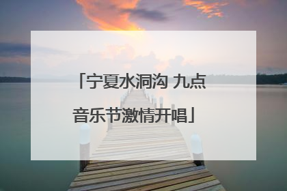 宁夏水洞沟 九点音乐节激情开唱
