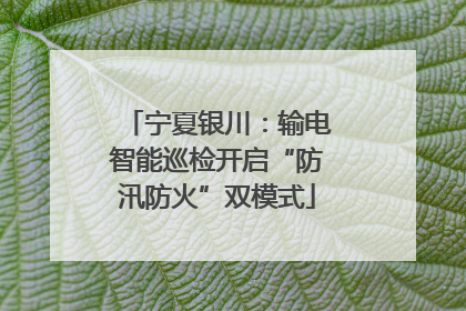 宁夏银川：输电智能巡检开启“防汛防火”双模式