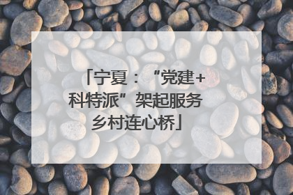 宁夏：“党建+科特派”架起服务乡村连心桥