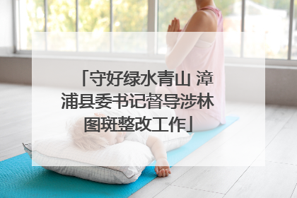 守好绿水青山 漳浦县委书记督导涉林图斑整改工作