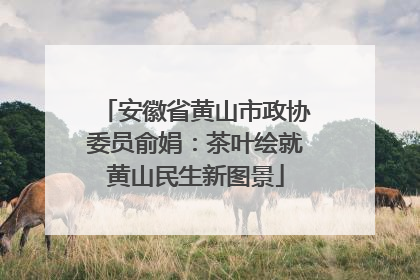 安徽省黄山市政协委员俞娟：茶叶绘就黄山民生新图景