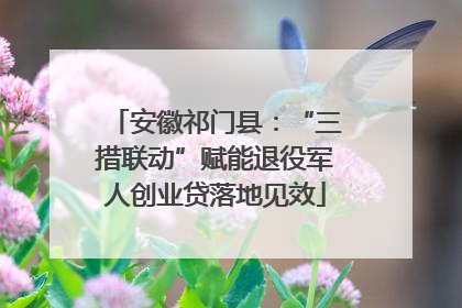 安徽祁门县：“三措联动”赋能退役军人创业贷落地见效