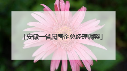 安徽一省属国企总经理调整