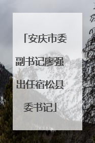 安庆市委副书记廖强出任宿松县委书记