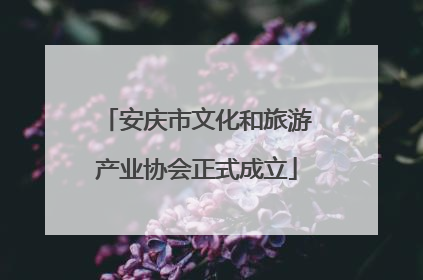 安庆市文化和旅游产业协会正式成立