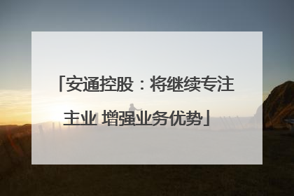 安通控股：将继续专注主业 增强业务优势