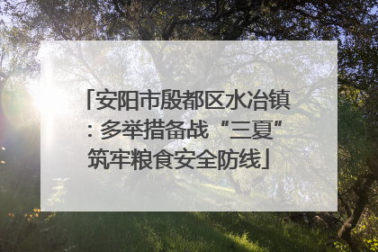 安阳市殷都区水冶镇：多举措备战“三夏” 筑牢粮食安全防线