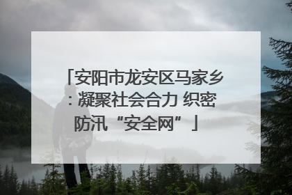 安阳市龙安区马家乡：凝聚社会合力 织密防汛“安全网”