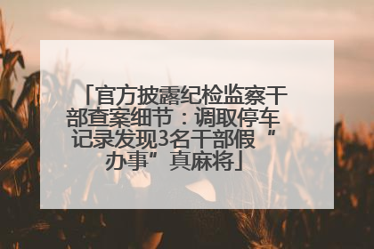 官方披露纪检监察干部查案细节：调取停车记录发现3名干部假“办事”真麻将