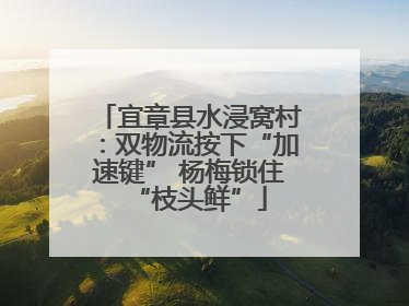 宜章县水浸窝村：双物流按下“加速键” 杨梅锁住“枝头鲜”