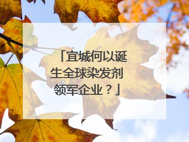 宜城何以诞生全球染发剂领军企业？