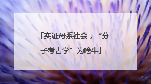 实证母系社会，“分子考古学”为啥牛