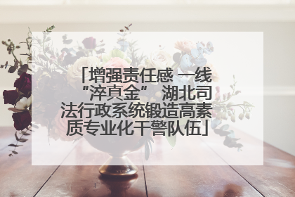 增强责任感 一线“淬真金” 湖北司法行政系统锻造高素质专业化干警队伍