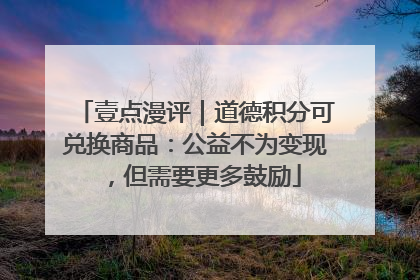 壹点漫评｜道德积分可兑换商品：公益不为变现，但需要更多鼓励