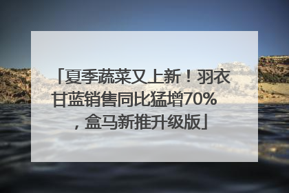 夏季蔬菜又上新！羽衣甘蓝销售同比猛增70%，盒马新推升级版