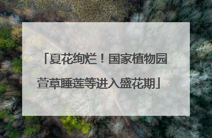 夏花绚烂！国家植物园萱草睡莲等进入盛花期