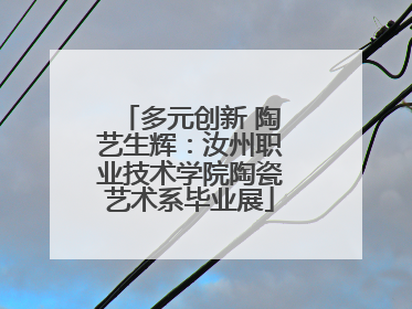 多元创新 陶艺生辉：汝州职业技术学院陶瓷艺术系毕业展