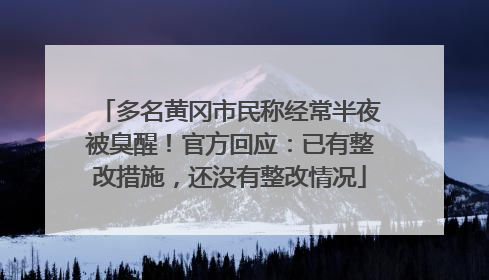 多名黄冈市民称经常半夜被臭醒!官方回应:已有整改措施,还没有整改情况