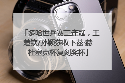 多哈世乒赛三连冠，王楚钦/孙颖莎收下兹·赫杜塞克杯复刻奖杯