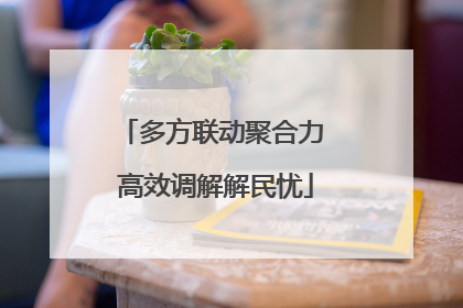 多方联动聚合力 高效调解解民忧