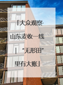 大众观察·山东麦收一线｜“无形田”里有大账