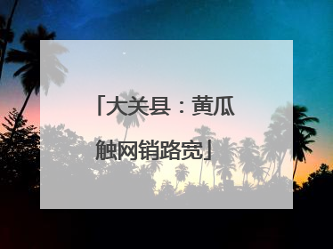 大关县：黄瓜触网销路宽