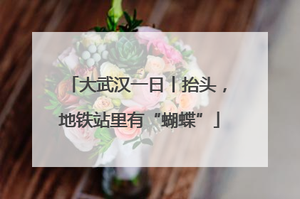 大武汉一日丨抬头，地铁站里有“蝴蝶”