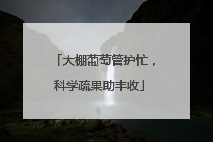大棚葡萄管护忙，科学疏果助丰收