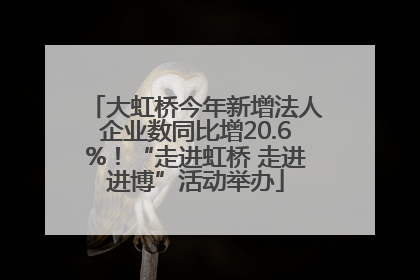 大虹桥今年新增法人企业数同比增20.6%！“走进虹桥 走进进博”活动举办
